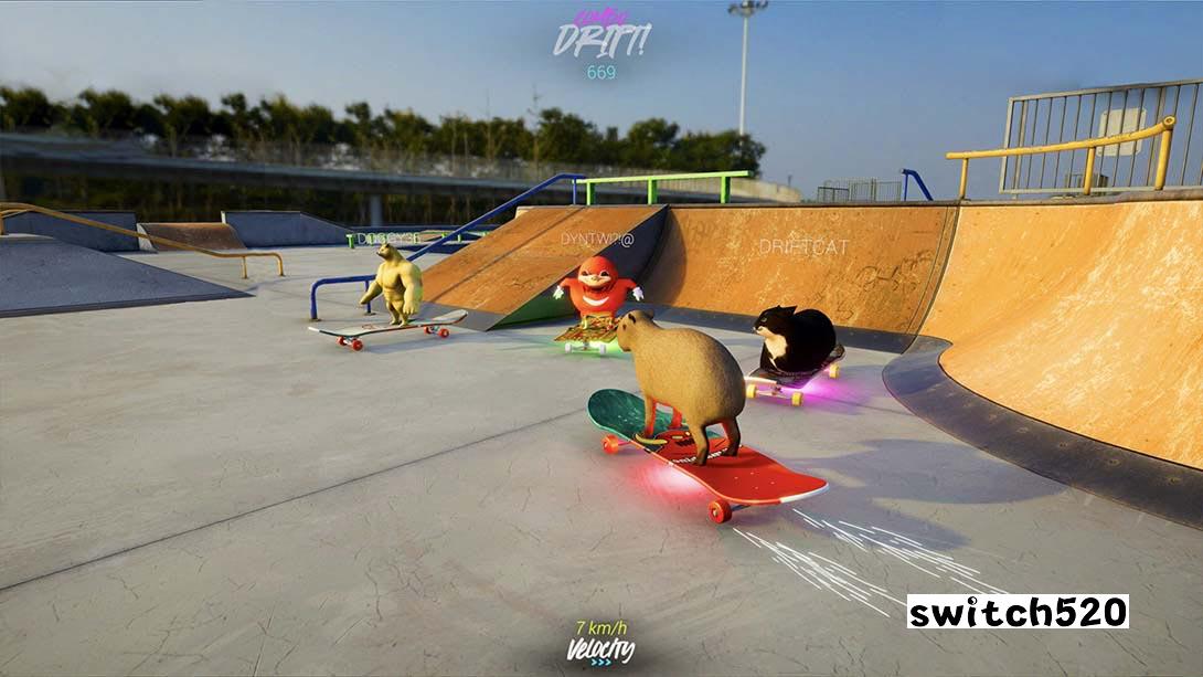 滑板漂流与麦克斯韦猫游戏截图6