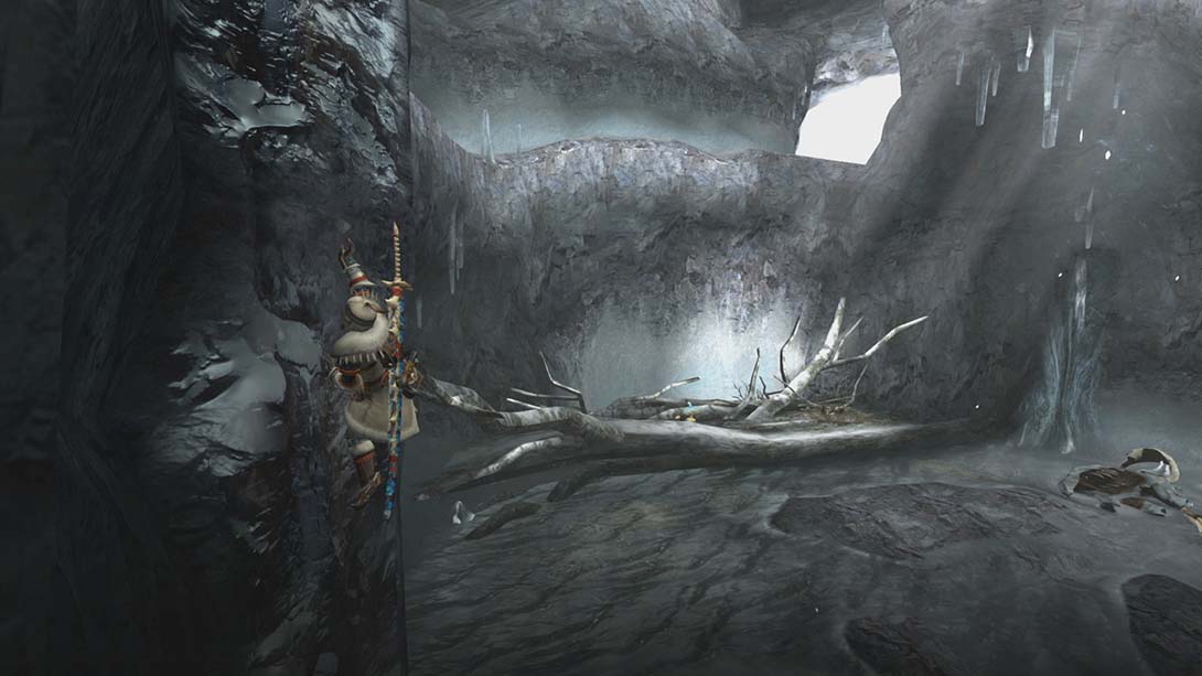 怪物猎人XX存档截图5