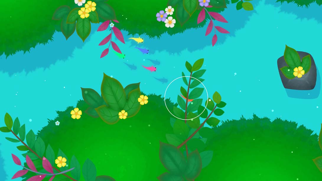 鲤 DX Koi DX 中文_6