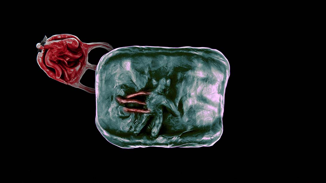 呢喃玩偶 Isolomus 中文_5