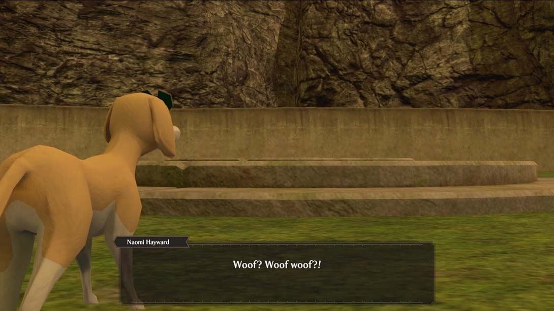 【美版】美好生活 The Good Life 英语_2