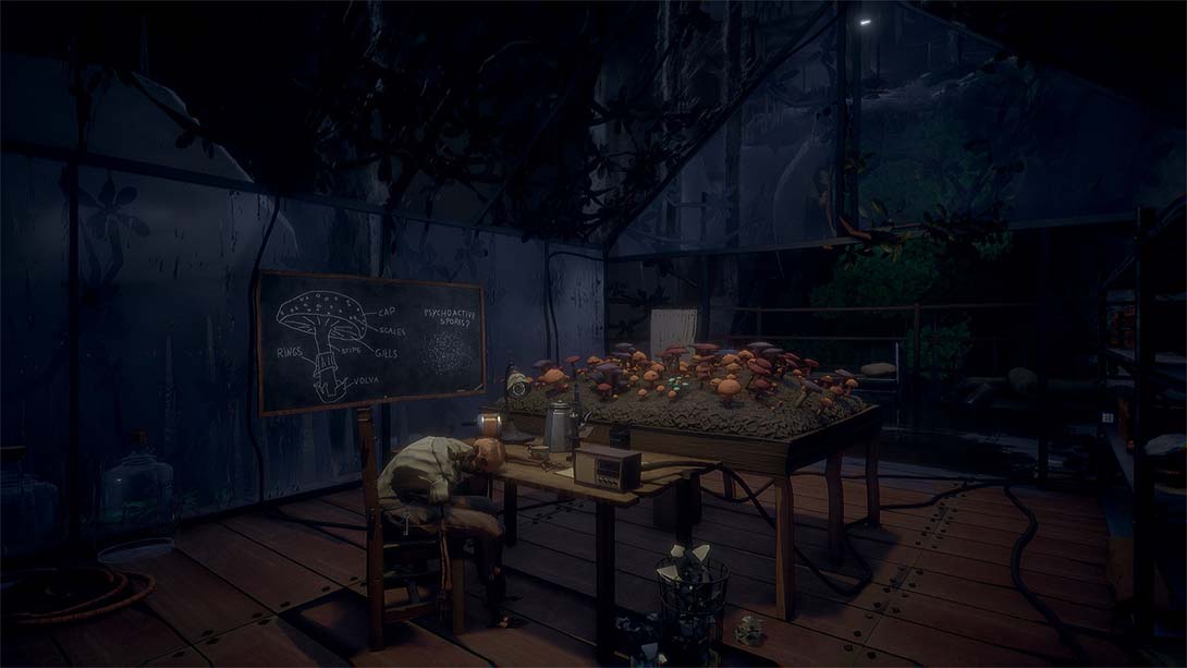 【美版】彼岸晴空 Hazel Sky 中文_5