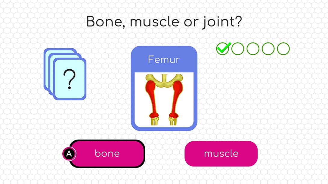 身体探索 BodyQuest 截图2