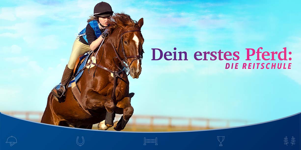【德版】Dein erstes Pferd: DIE REITSCHULE 德语_0