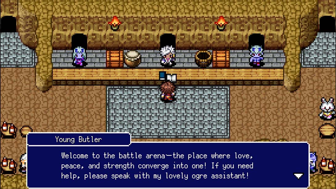 阿瓦西亚编年史 Alvastia Chronicles 日语_5