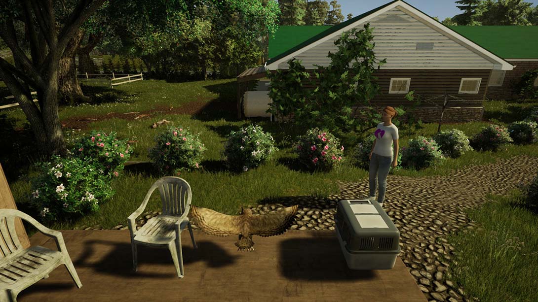 兽医 Animal Doctor 英语_1