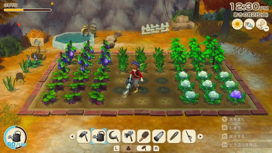 牧场物语 来吧 风之繁华集市金手指截图3