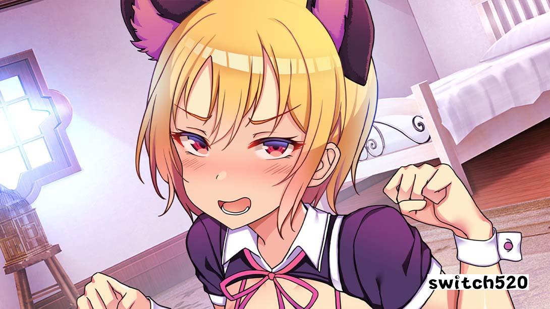 【日版】动漫乐园 Anime Paradise 中文_2