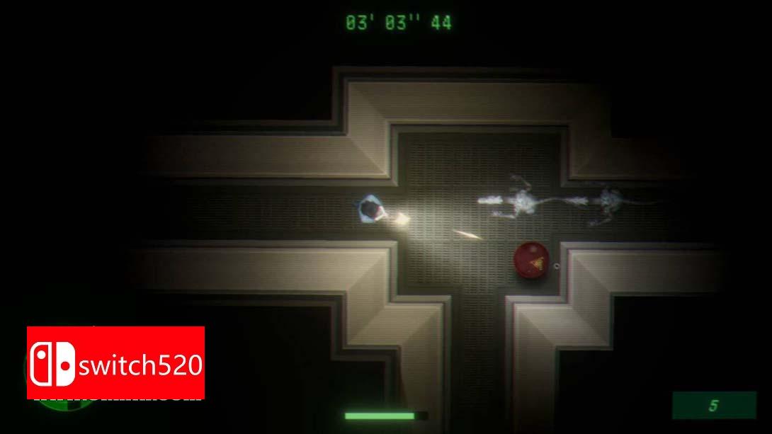 【美版】水仙 .Narcissus 中文_3