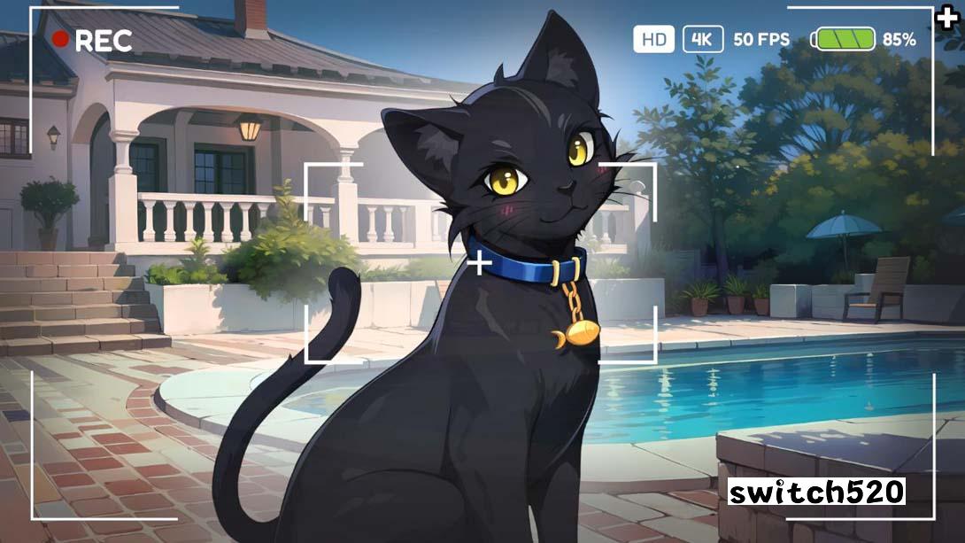 Hentai Party 游戏截图6