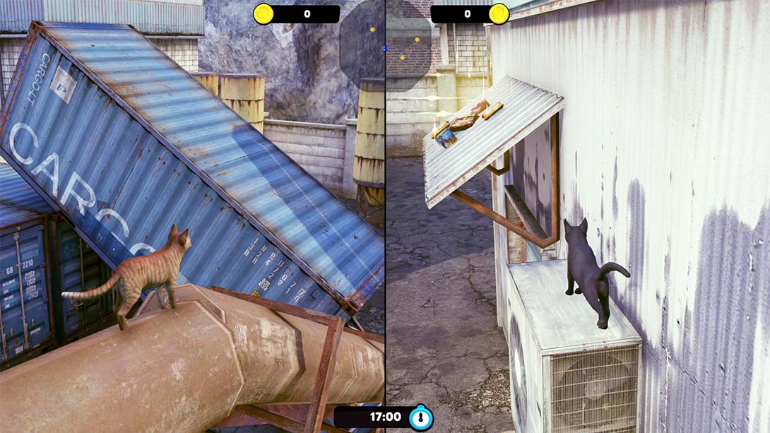 【美版】小猫大营救 Little Strays 中文_2