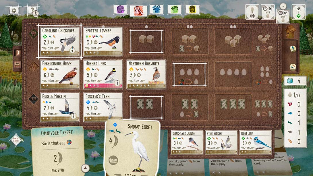 【美版】展翅翱翔 Wingspan 中文_3