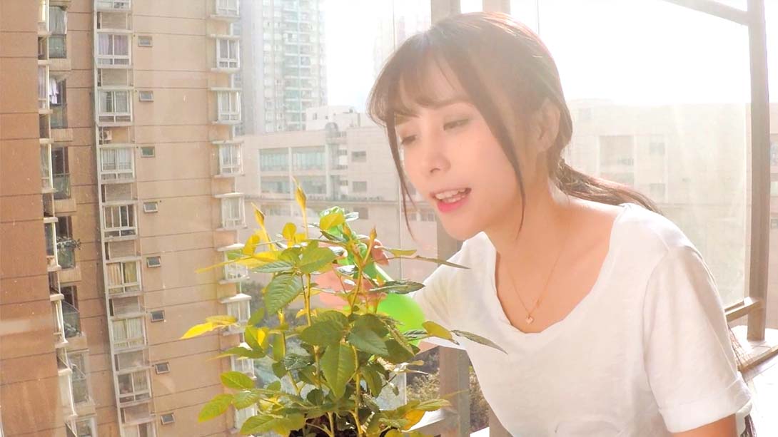 女神驾到：夏日甜心 Summer Sweetheart 日语_2