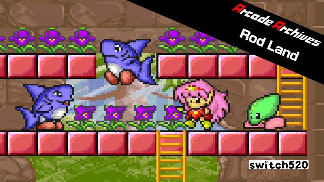 街机档案罗德大陆游戏截图1