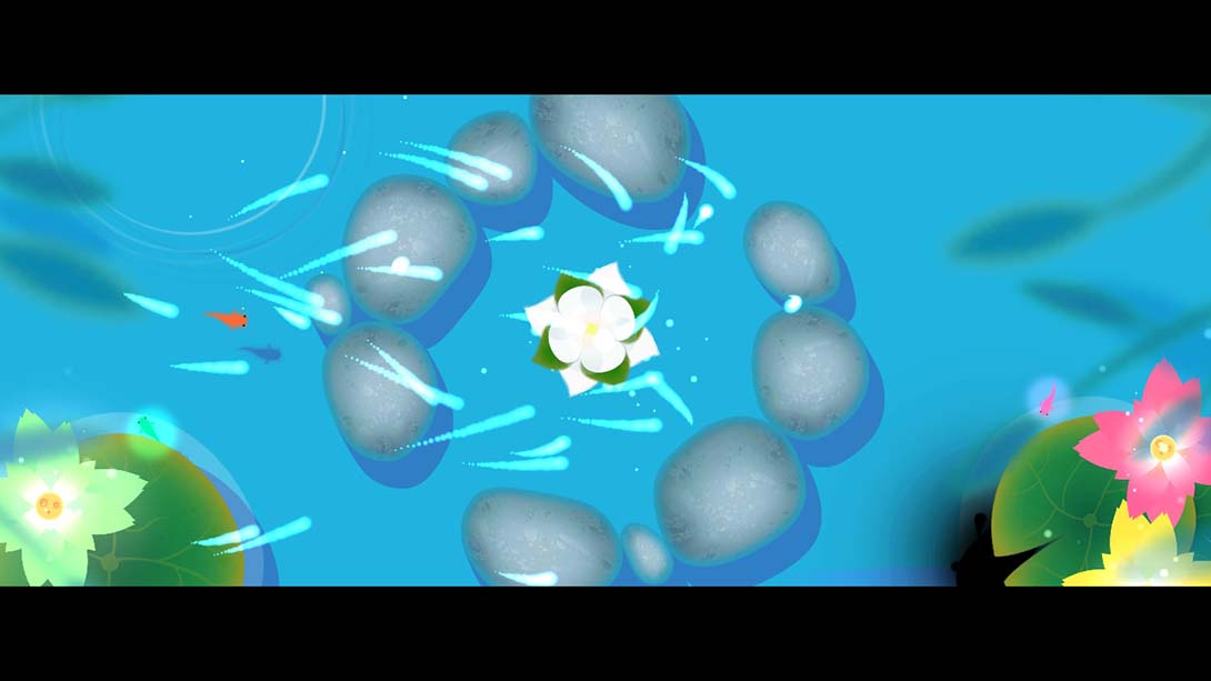 鲤 DX Koi DX 中文_4