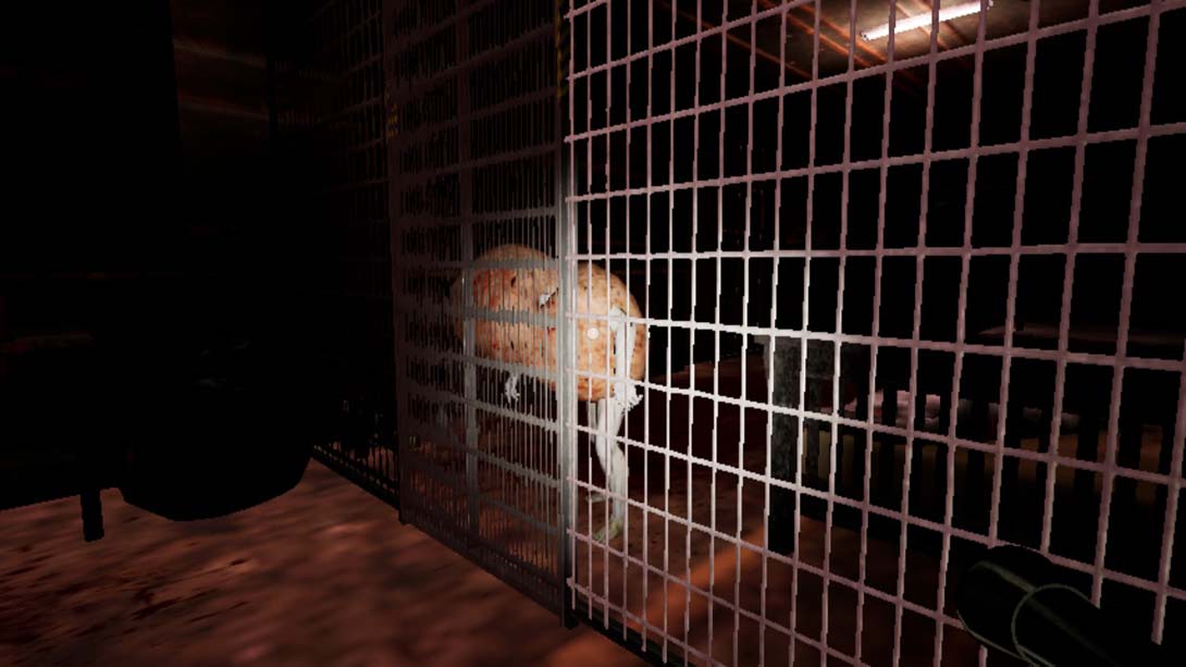 【日版】疯人院|被感染的豪宅 THE MADHOUSE | Infected Mansion 中文_4