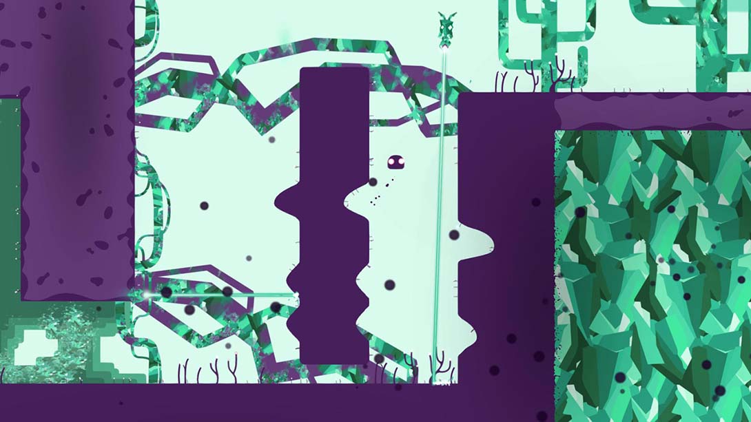 外表 Semblance 中文_2