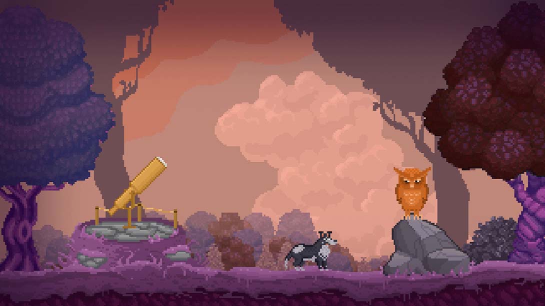 巴尔萨泽的梦境 Balthazars Dreams 英语_1