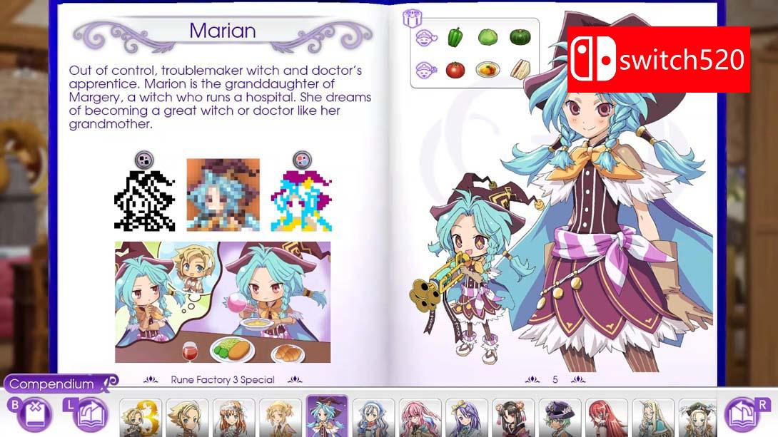 【美版】拼图冒险 符文工房 .Piczle Cross Rune Factory 中文_6