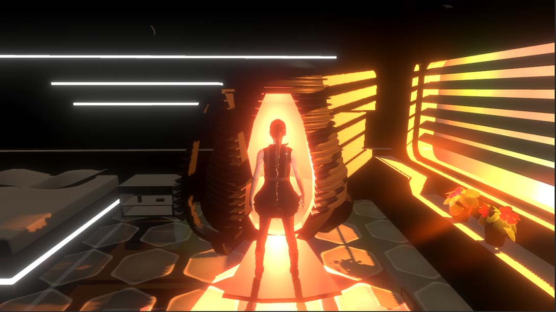 真实 The True 中文_1