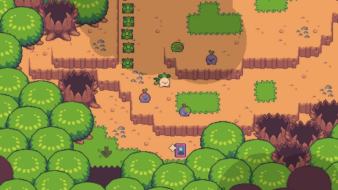 【美版】大头菜小子偷税了！ Turnip Boy Commits Tax Evasion 中文_6