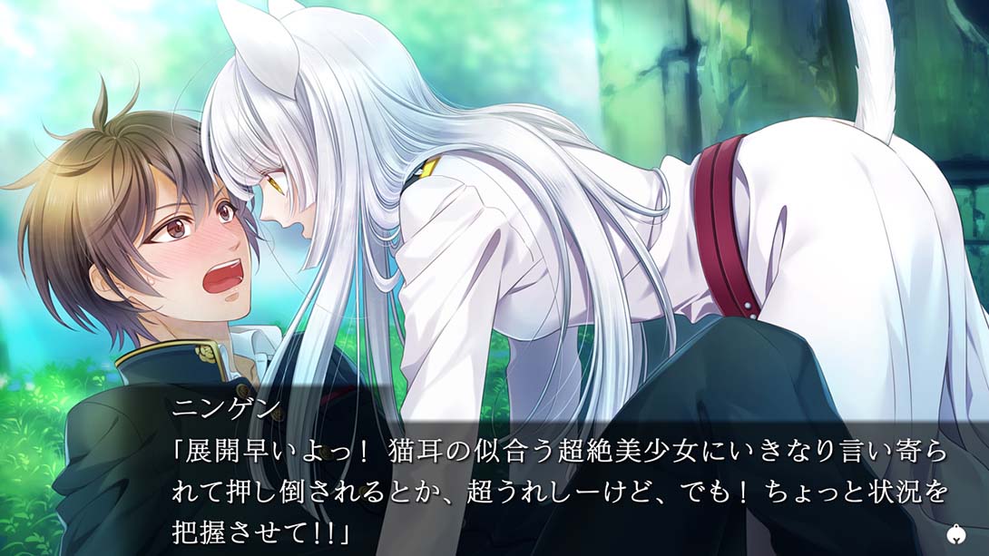 穿军靴的猫 游戏截图4