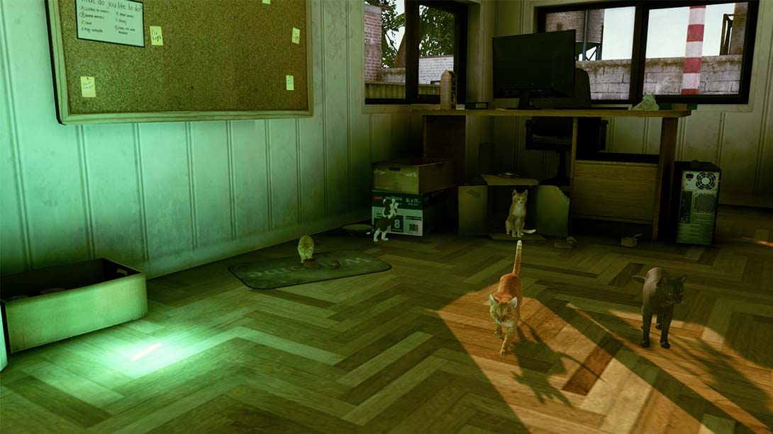 【美版】小猫大营救 Little Strays 中文_5