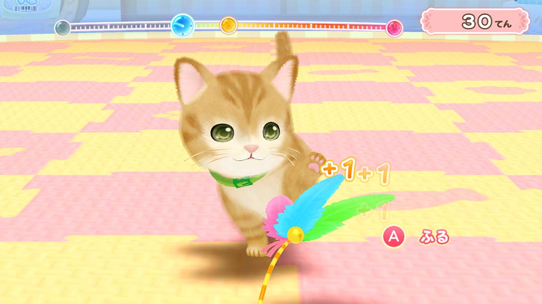 汪喵宠物店 与可爱宠物相伴的每一天 Wannyan Pet Shop Kawaii Pet... 日语_5