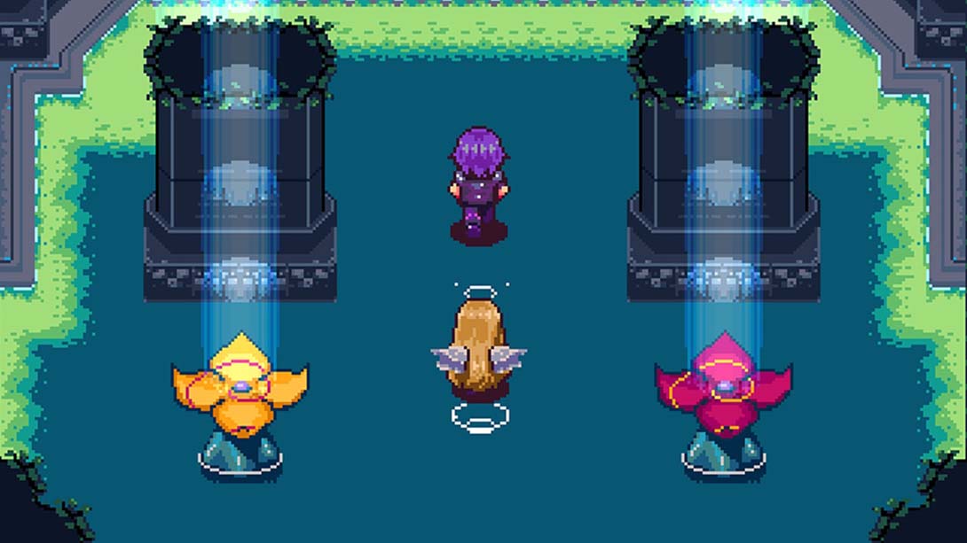 Jin概念 Jin Conception 英语_2