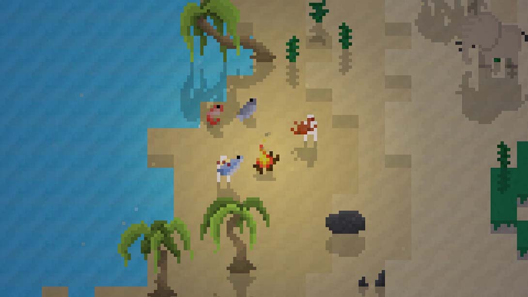 尼拉 Nira 中文_3