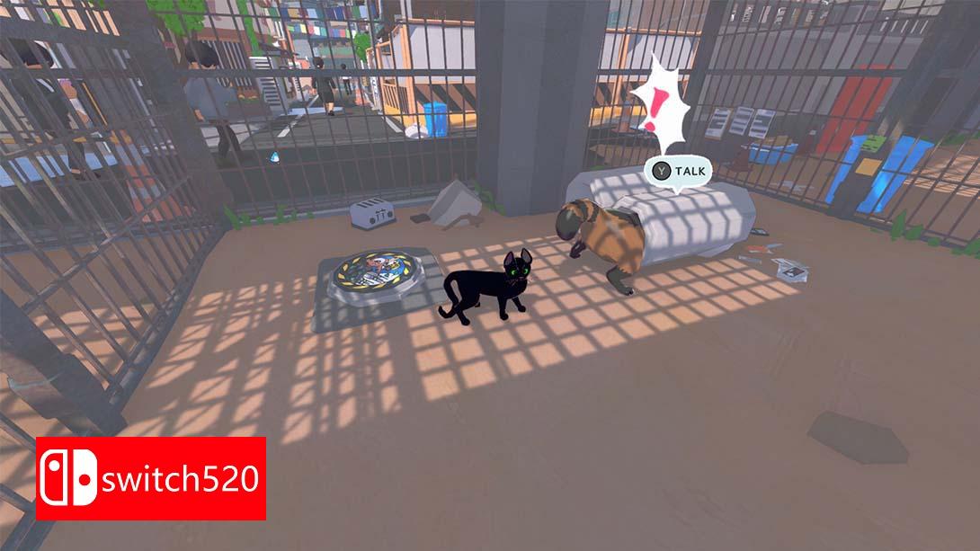 【美版】小猫咪，大城市游戏截图7