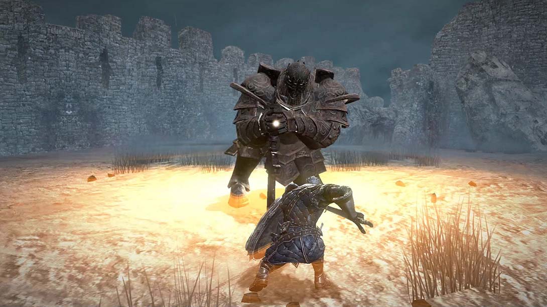 憎恨之心 Animus 中文_3