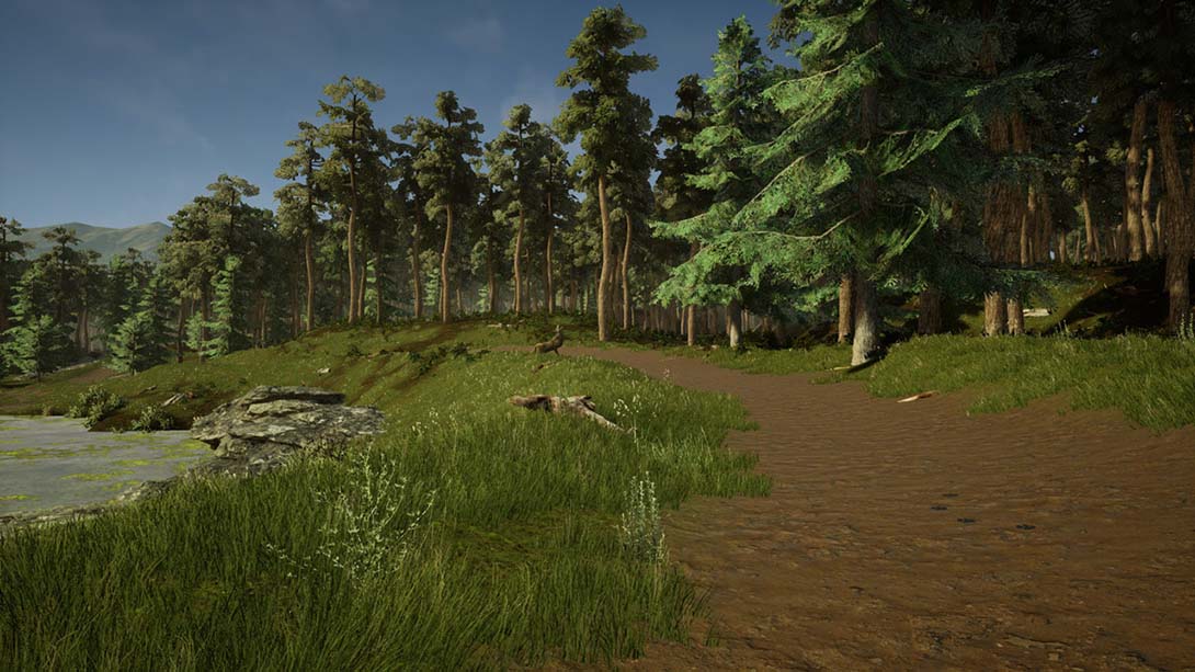 兽医 Animal Doctor 英语_2