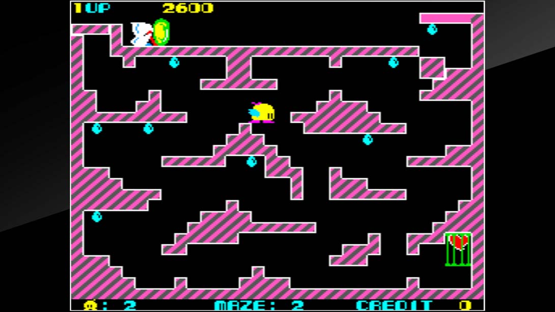 【日版】Arcade Archives Chack'n Pop 英语_4