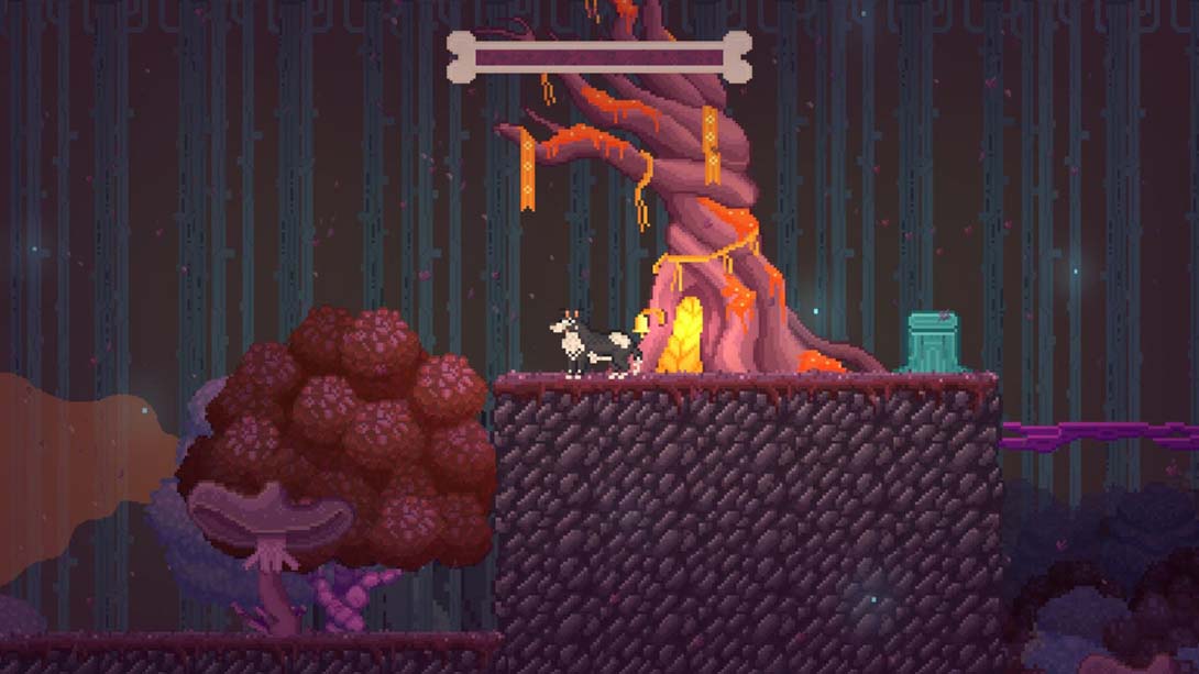 巴尔萨泽的梦境 Balthazars Dreams 英语_3