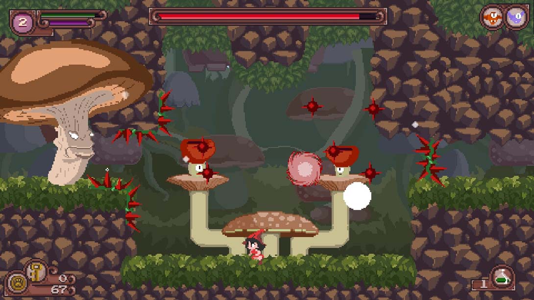 【美版】猫神 Catmaze 中文_4