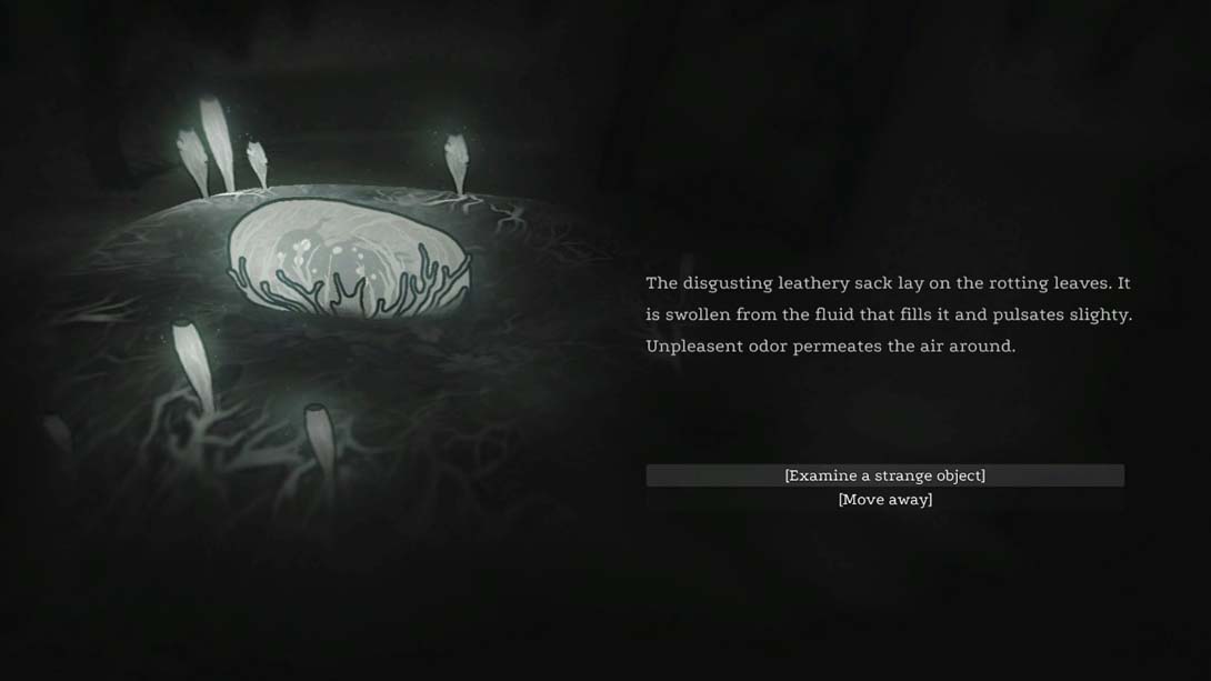 【美版】Rooten 英语_4