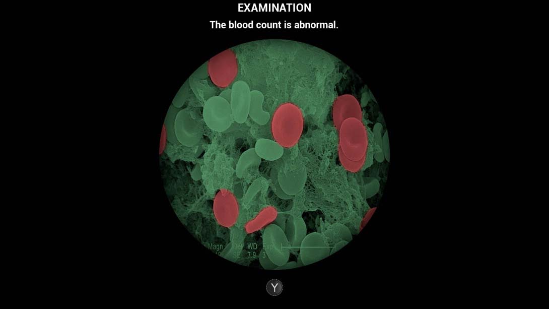 【美版】我的生活：宠物兽医 My Life: Pet Vet 英语_2