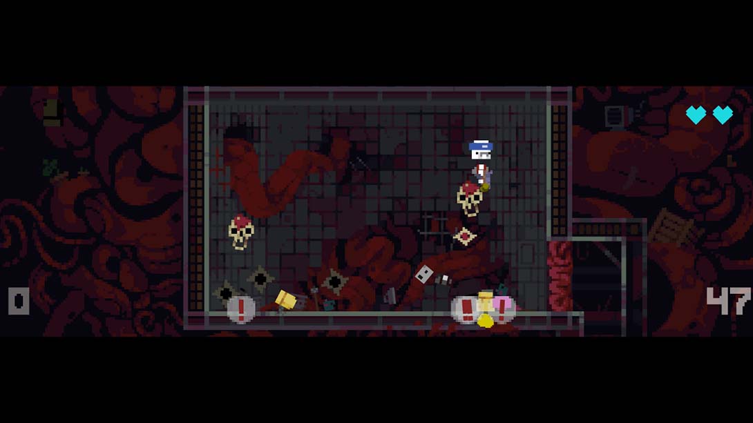 虎鲸 Gutwhale 英语_3