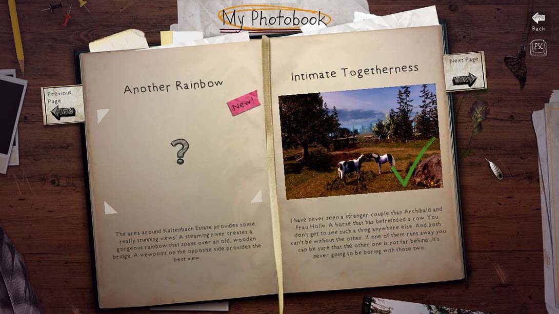 【美版】骏马奥斯温 Windstorm 英语_5