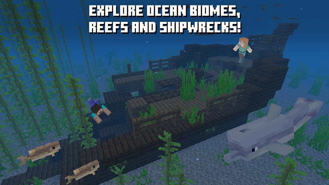 我的世界 基岩版 中文_1