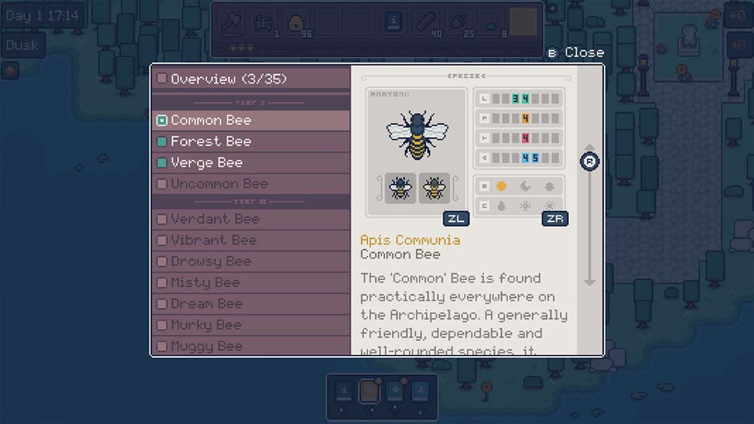 【美版】APICO 英语_1