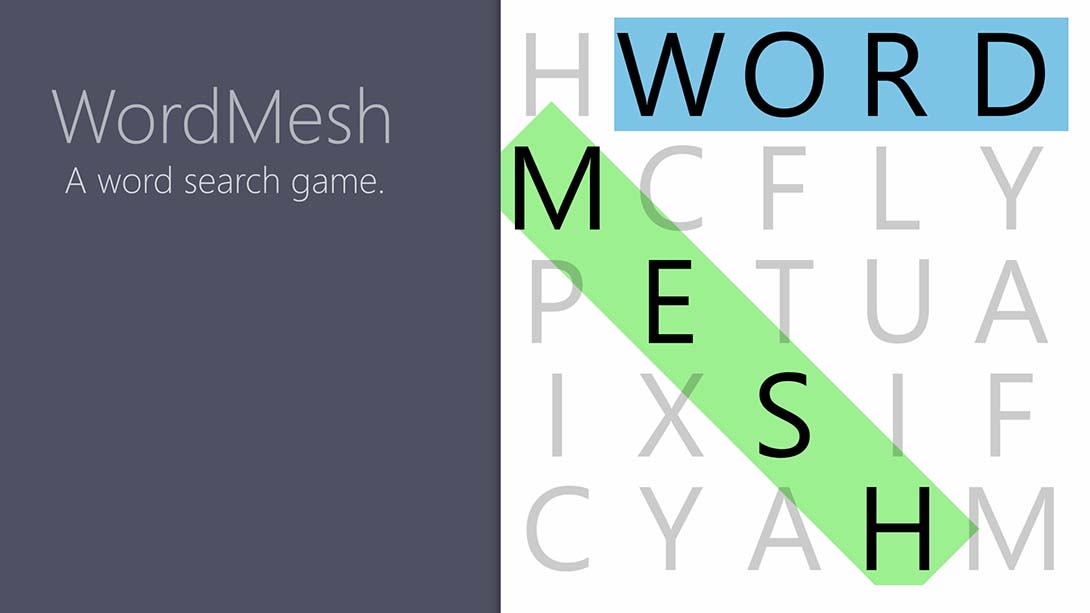 【美版】单词之网 Word Mesh 英语_0
