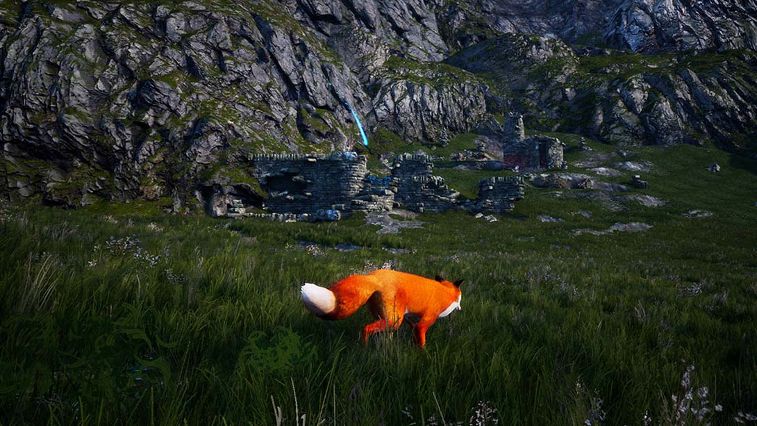 极北灵狐 Spirit of the North 中文_5