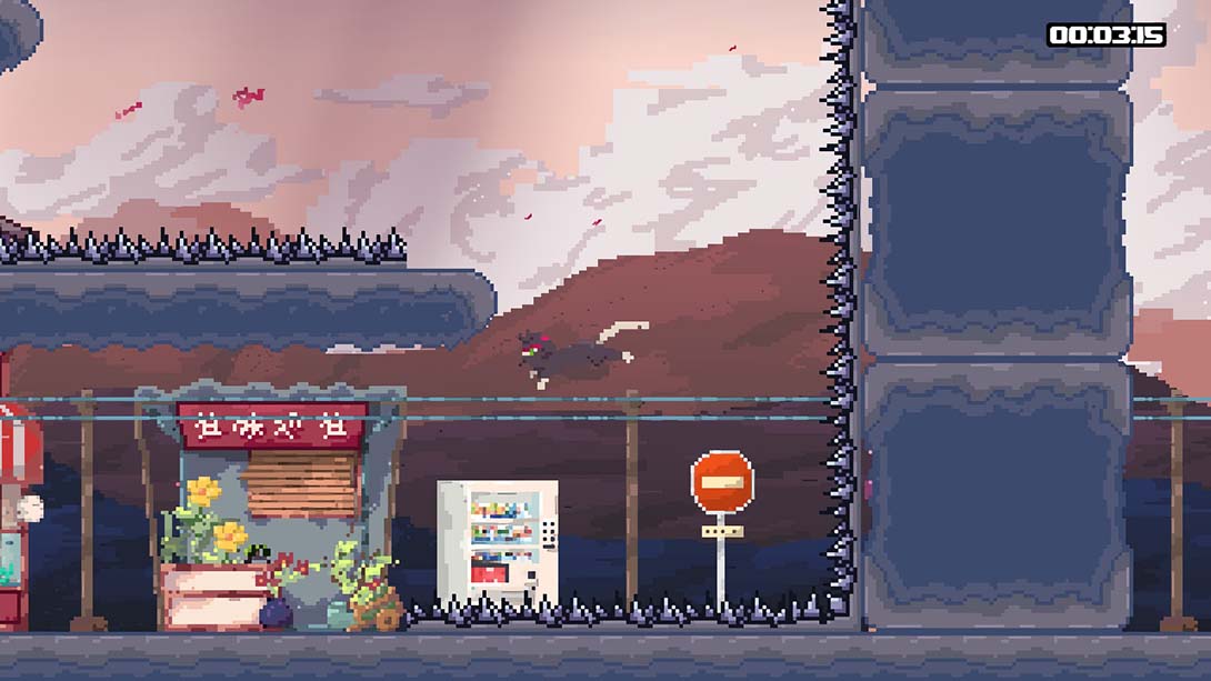 【美版】猫九 NinCat 英语_5