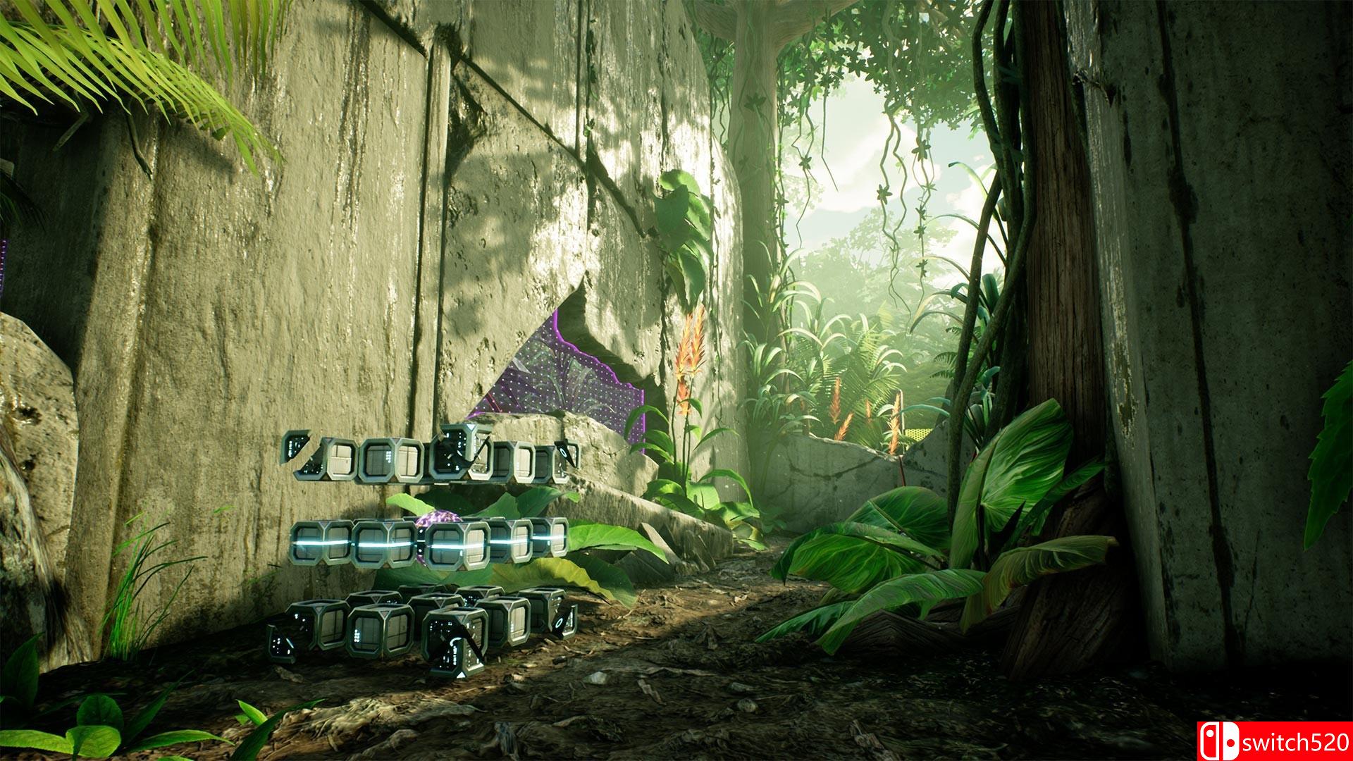 《瑞利达》游戏截图1