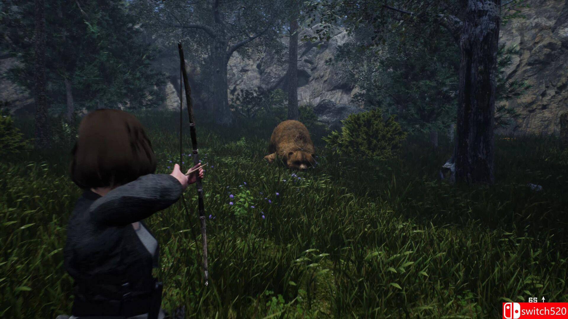 《死亡之夜》游戏截图7