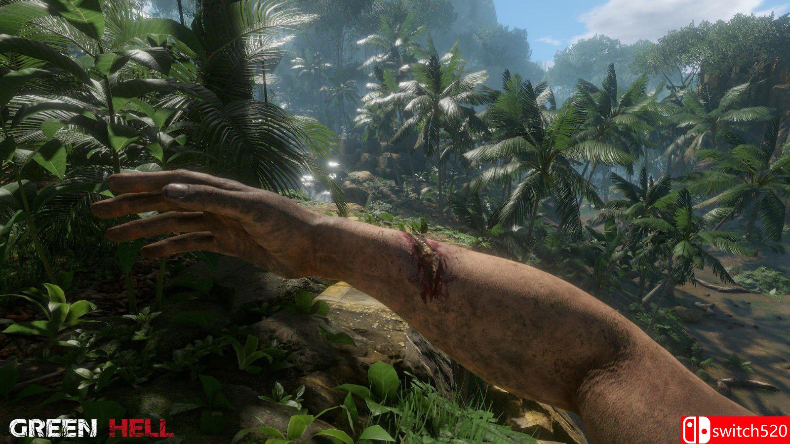 《丛林地狱》游戏截图6