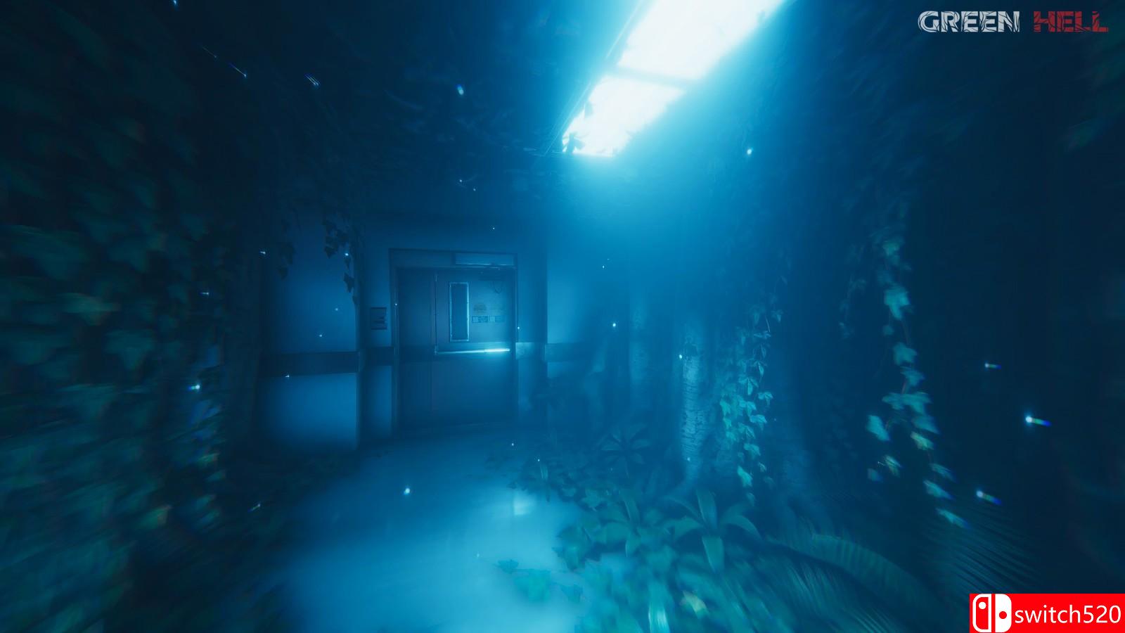 《丛林地狱》游戏截图7