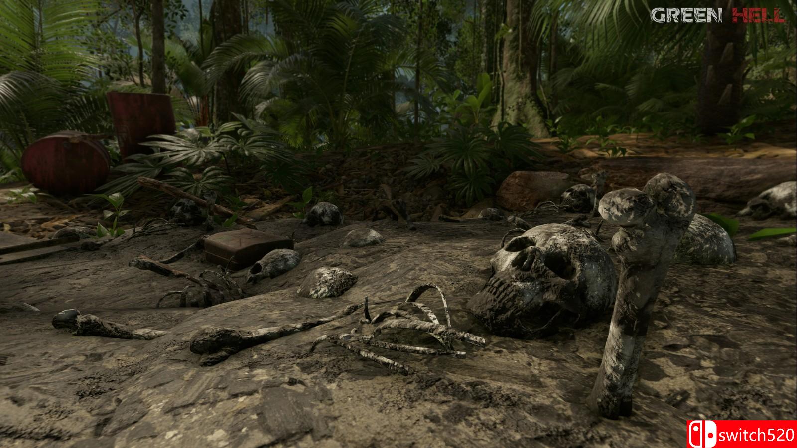 《丛林地狱》游戏截图9